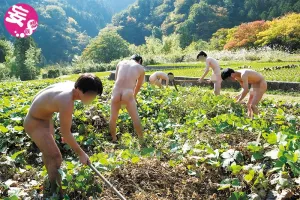 [Forbidden] Summary of Japanese Orgy Village Legend 4 Hours ~Forbidden Video Collection of Self-Sufficient Child Making by Villagers Passed Down in Mountain Villages Since Ancient Japan~