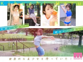 MIDV-541 Beautiful!  Lovely!  pornography!  We have it all!  Talented newcomer Haru Kikuchi makes her AV debut