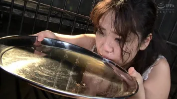 NEOB-008 Unrivaled Anal Toilet Woman Serious Piss, Serious Cum Swallowing, Serious Bukkake 64 Shots Shiori Mochida